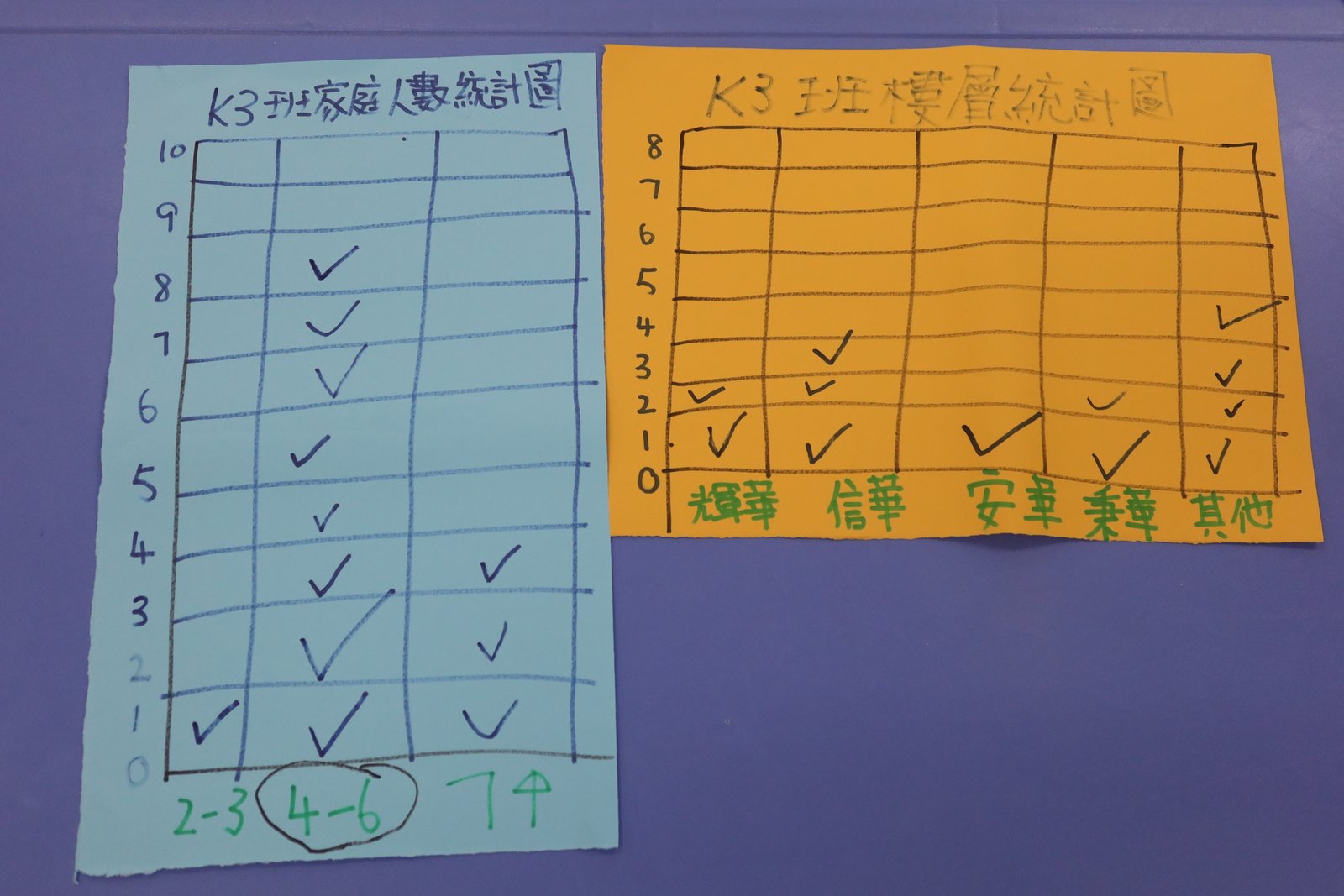 1_教案1_數據的整理_活動1A.JPG