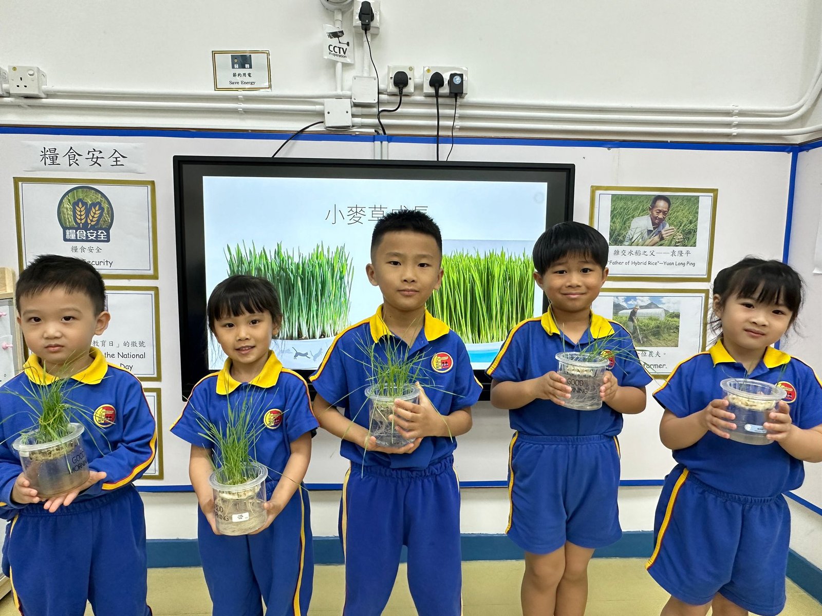 小麥草種植活動-1G.jpeg